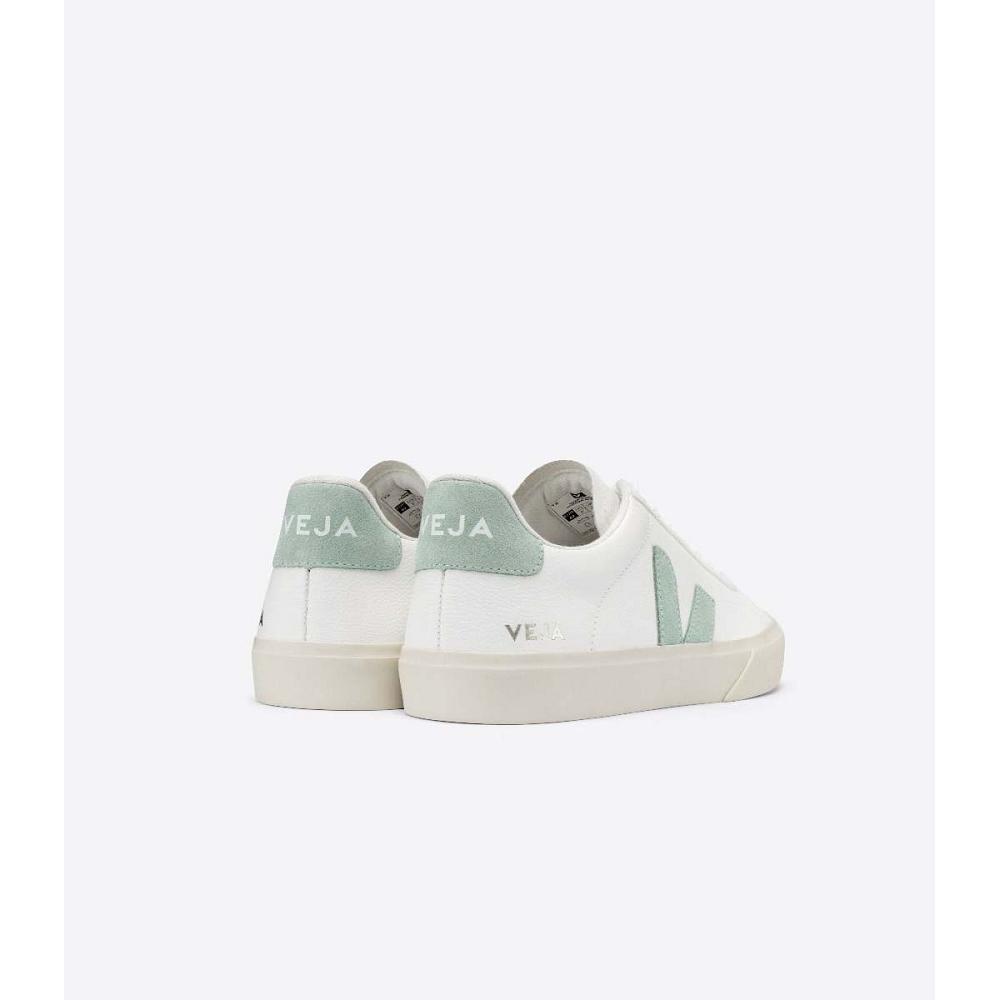 Veja CAMPO CHROMEFREE Men's Low Tops Sneakers White/Mint | CA 295RVD